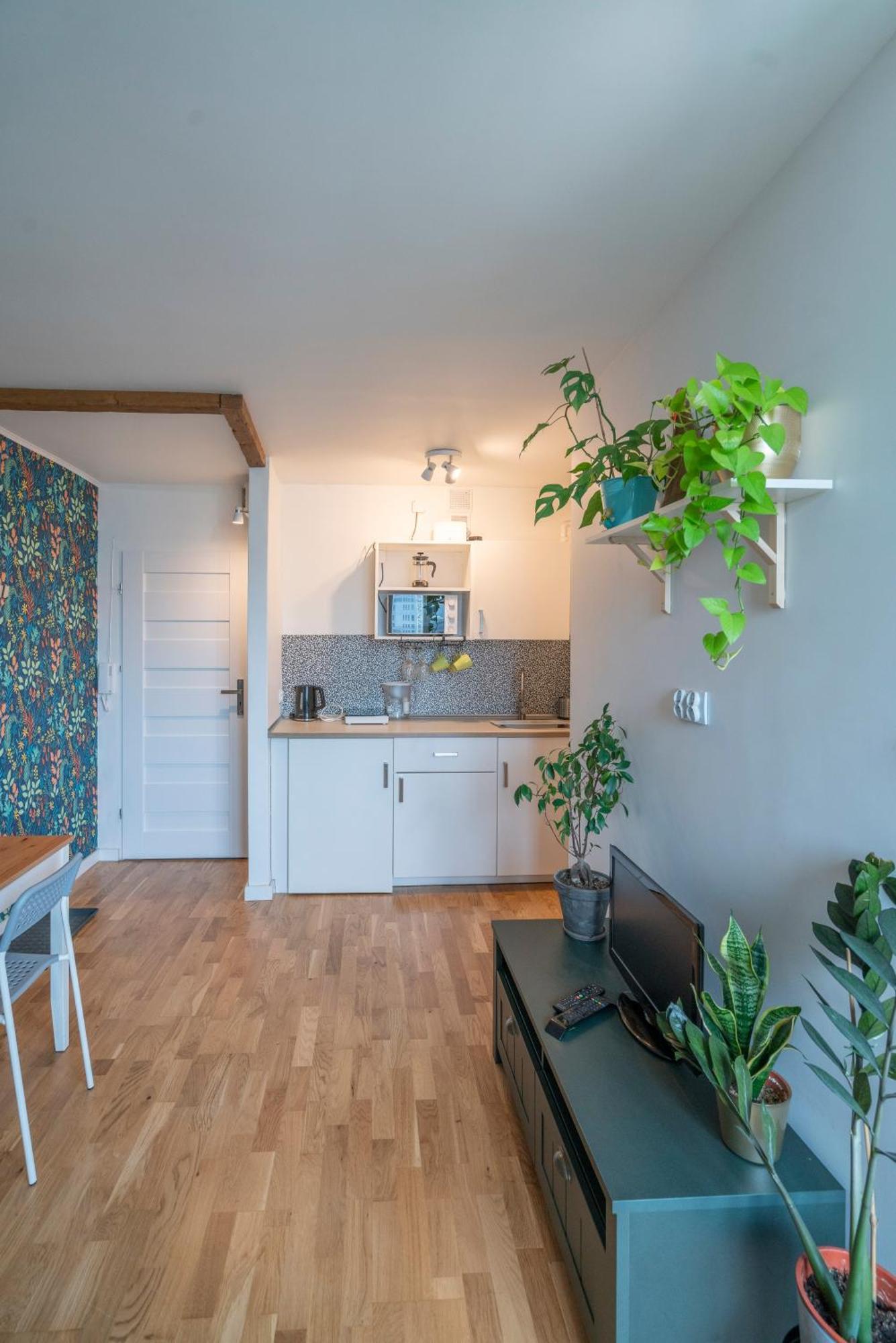 Green Studio In The City Center Of Wroclaw Exterior photo
